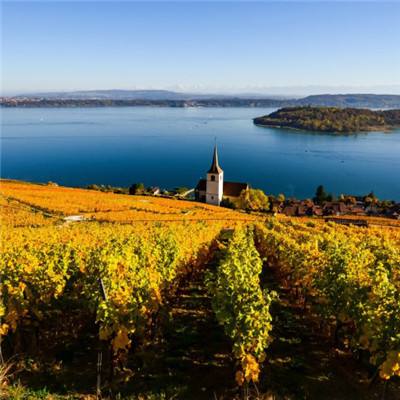 港澳宝典下载手机版