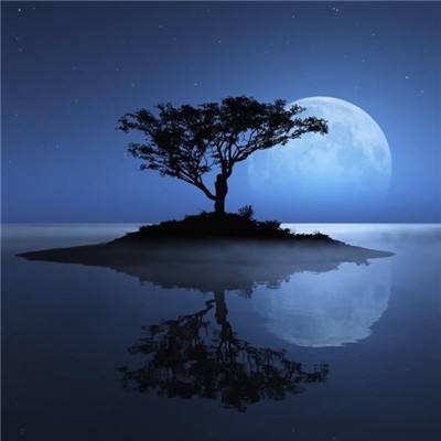 71771威尼斯.Cm下载手机版截图