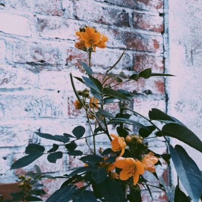 江南APP官网截图